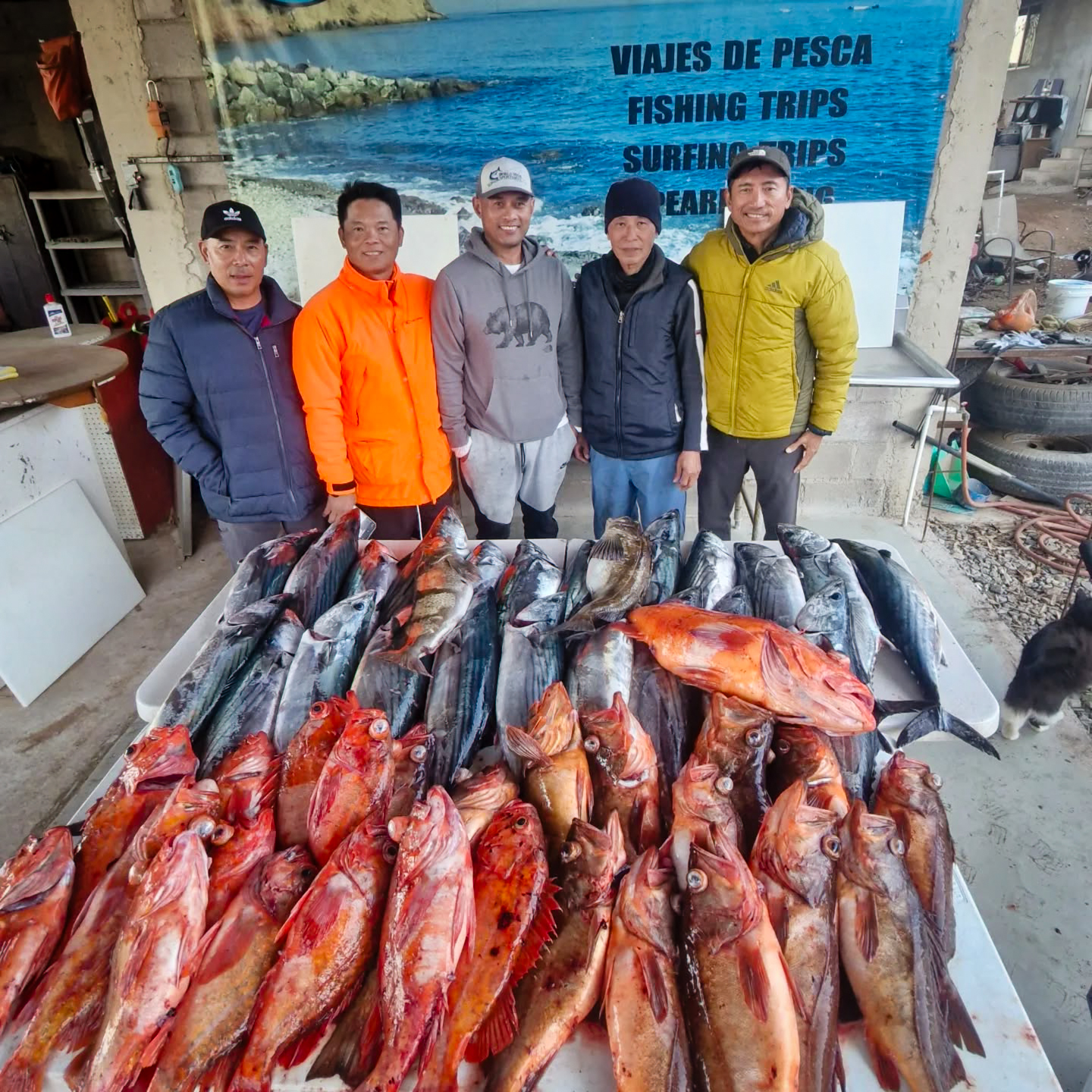 El Delfin Sportfishing catch from the Banda Bank